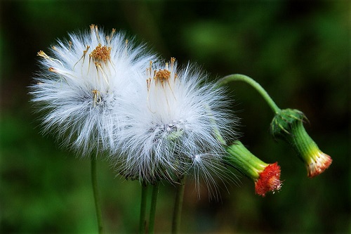 MỘT THỜI ĐAM MÊ!